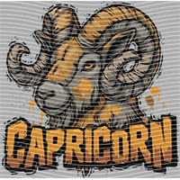 Constellation-XZ 167